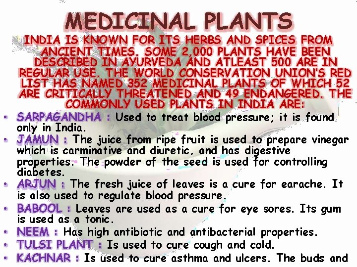 MEDICINAL PLANTS • • INDIA IS KNOWN FOR ITS HERBS AND SPICES FROM ANCIENT