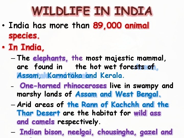 WILDLIFE IN INDIA • India has more than 89, 000 animal species. • In