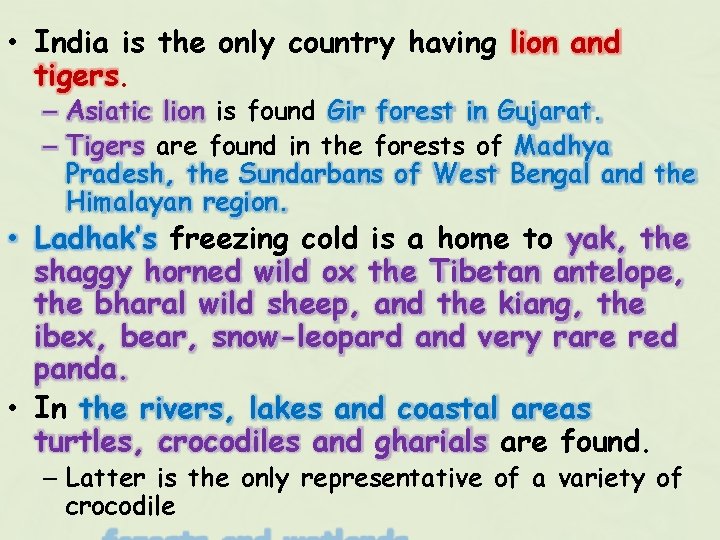  • India is the only country having lion and tigers. – Asiatic lion