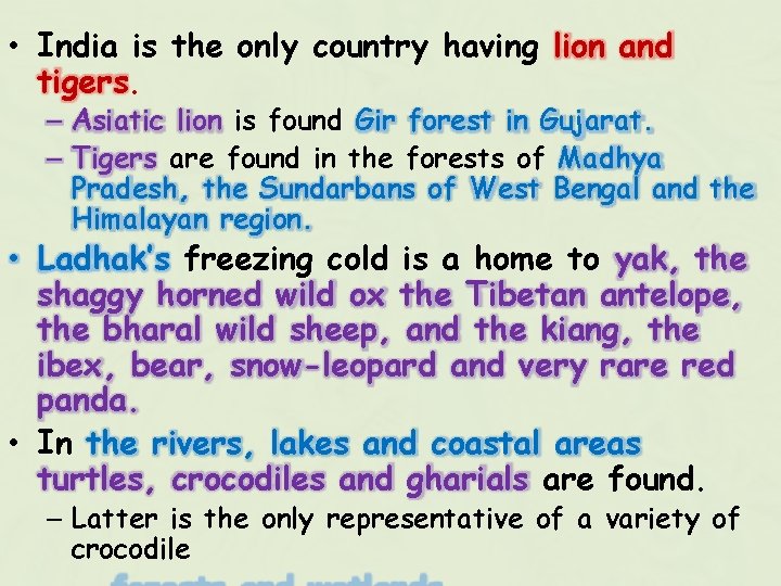  • India is the only country having lion and tigers. – Asiatic lion