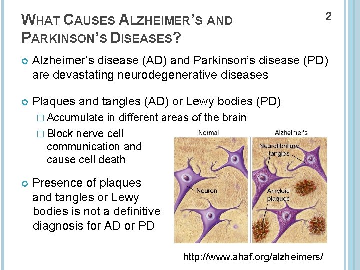 WHAT CAUSES ALZHEIMER’S AND PARKINSON’S DISEASES? 2 Alzheimer’s disease (AD) and Parkinson’s disease (PD)