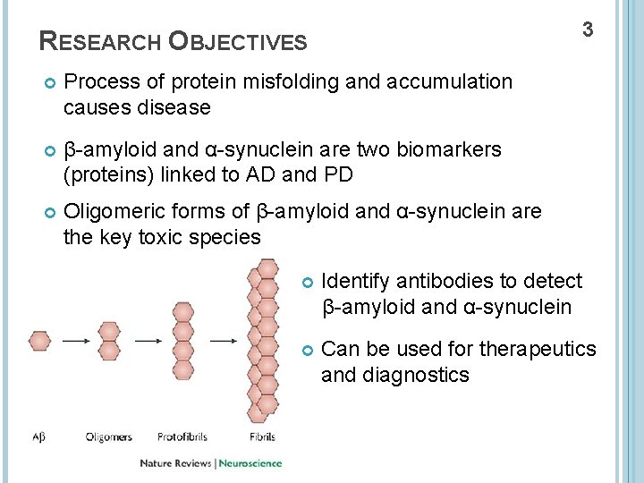 3 RESEARCH OBJECTIVES Process of protein misfolding and accumulation causes disease β-amyloid and α-synuclein
