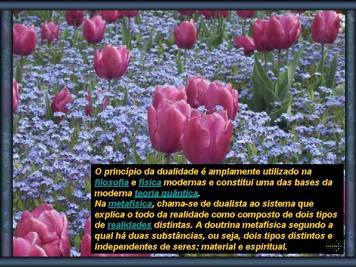 O princípio da dualidade é amplamente utilizado na filosofia e física modernas e constitui