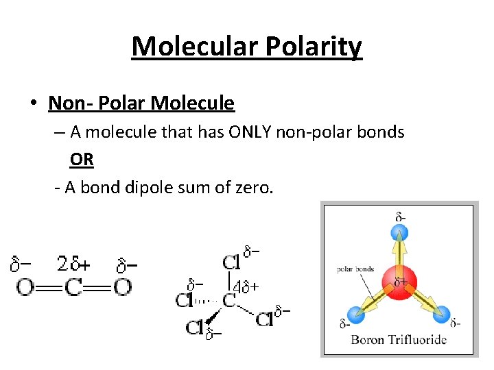 Molecular Polarity • Non- Polar Molecule – A molecule that has ONLY non-polar bonds