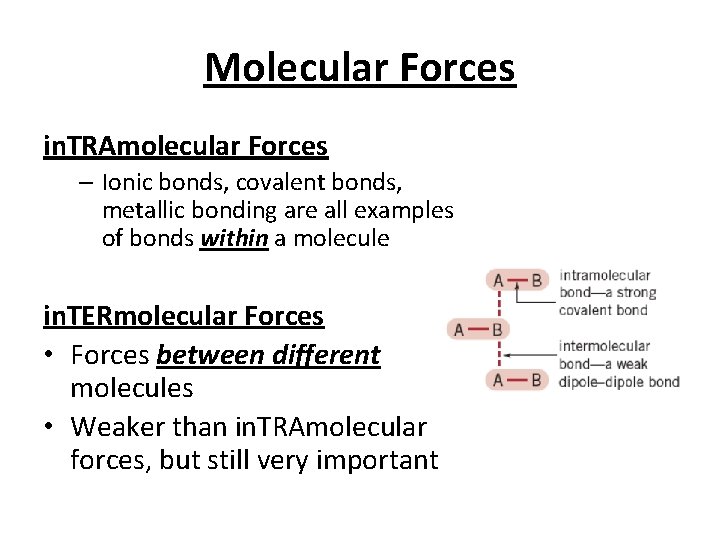 Molecular Forces in. TRAmolecular Forces – Ionic bonds, covalent bonds, metallic bonding are all