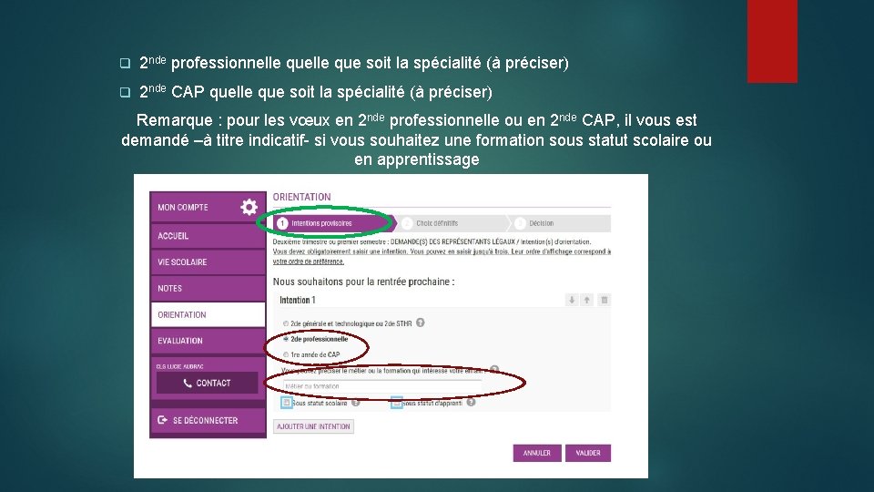 q 2 nde professionnelle que soit la spécialité (à préciser) q 2 nde CAP