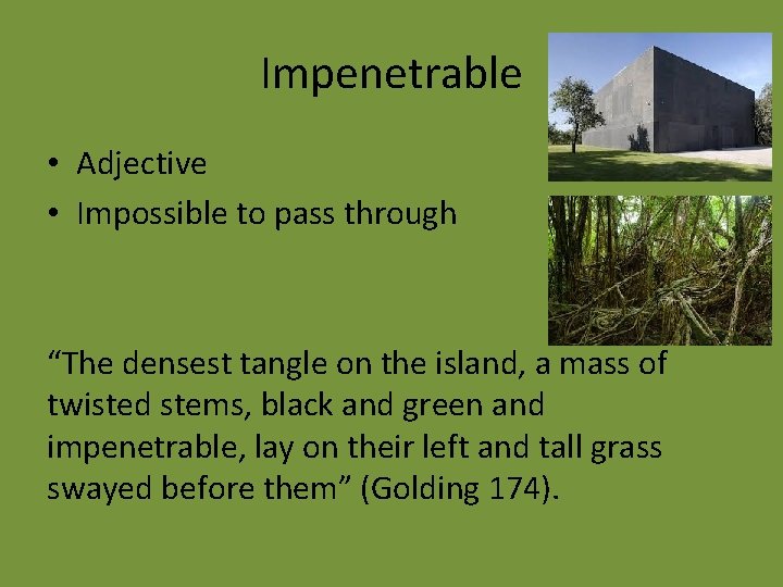 Impenetrable • Adjective • Impossible to pass through “The densest tangle on the island,