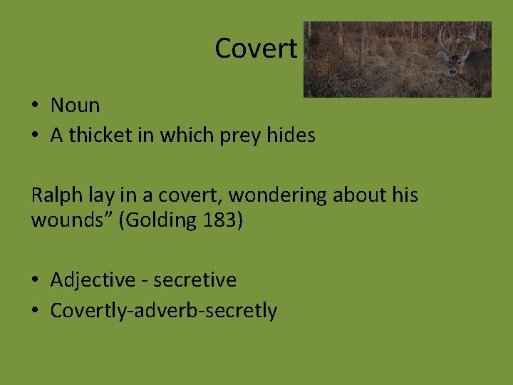 Covert • Noun • A thicket in which prey hides Ralph lay in a