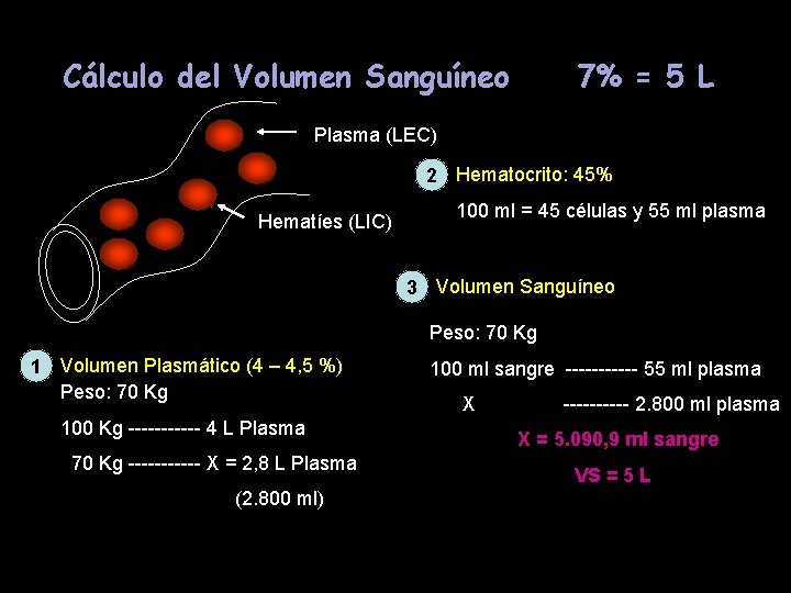 Cálculo del Volumen Sanguíneo 7% = 5 L Plasma (LEC) 2 Hematocrito: 45% Hematíes