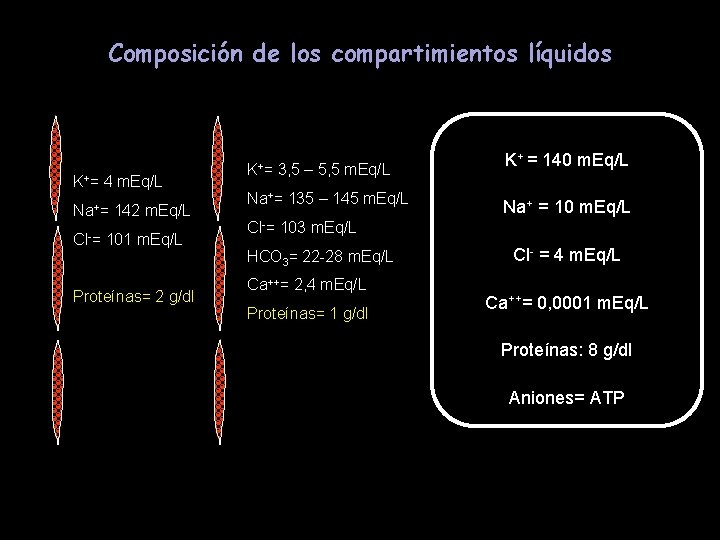 Composición de los compartimientos líquidos K+= 4 m. Eq/L Na+= Cl-= 142 m. Eq/L