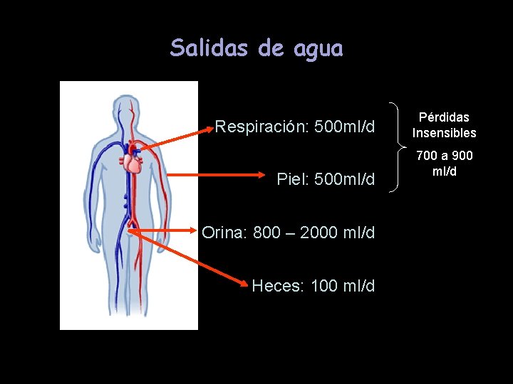 Salidas de agua Respiración: 500 ml/d Piel: 500 ml/d Orina: 800 – 2000 ml/d