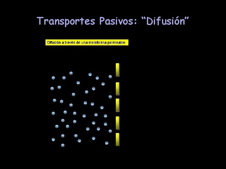 Transportes Pasivos: “Difusión” 