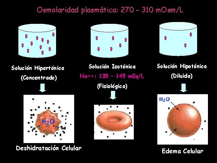 BIOFSICA Principios Fisicoqumicos del Transporte de Solutos Lquidos