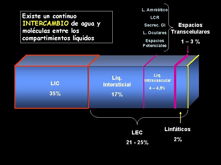 L. Amniótico Existe un continuo INTERCAMBIO de agua y moléculas entre los compartimientos líquidos