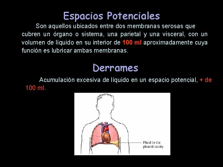 Espacios Potenciales Son aquellos ubicados entre dos membranas serosas que cubren un órgano o