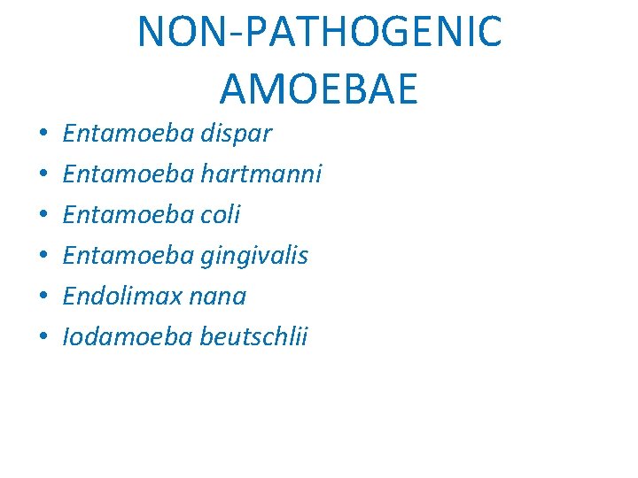  • • • NON-PATHOGENIC AMOEBAE Entamoeba dispar Entamoeba hartmanni Entamoeba coli Entamoeba gingivalis