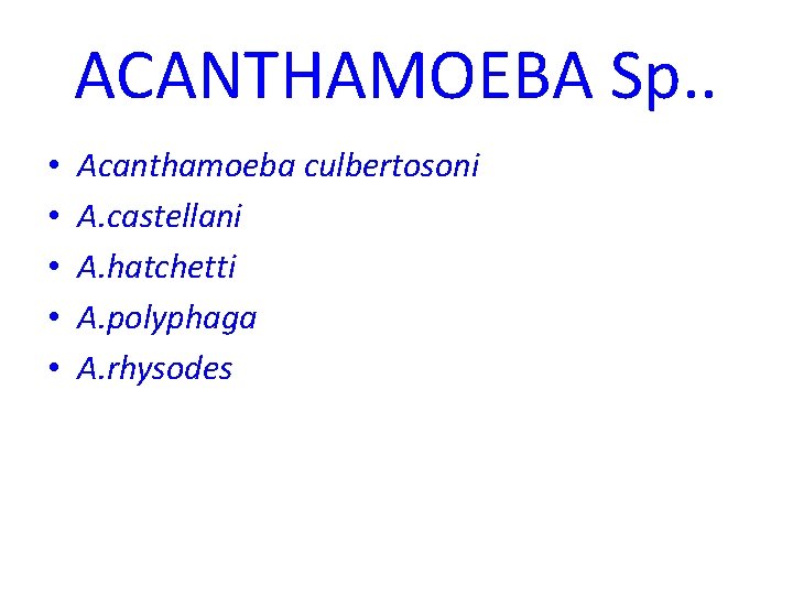 ACANTHAMOEBA Sp. . • • • Acanthamoeba culbertosoni A. castellani A. hatchetti A. polyphaga
