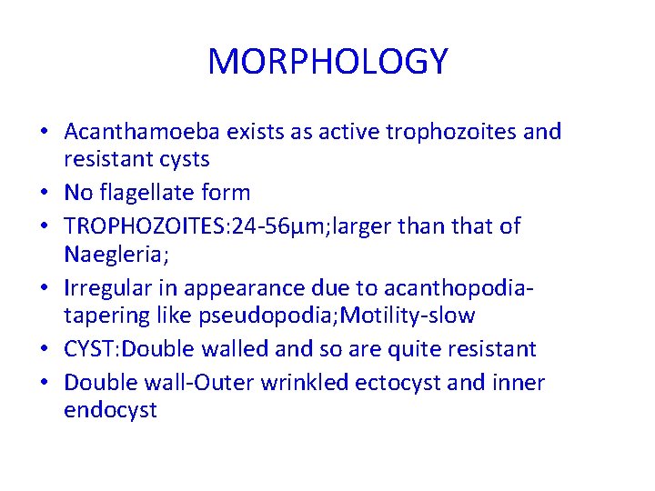 MORPHOLOGY • Acanthamoeba exists as active trophozoites and resistant cysts • No flagellate form