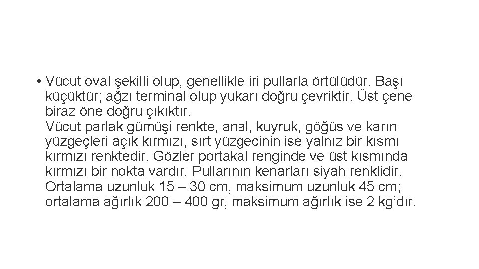  • Vücut oval şekilli olup, genellikle iri pullarla örtülüdür. Başı küçüktür; ağzı terminal