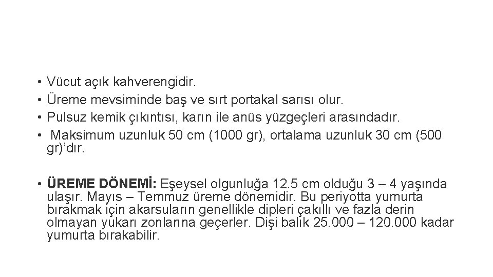  • • Vücut açık kahverengidir. Üreme mevsiminde baş ve sırt portakal sarısı olur.