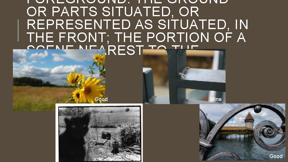 FOREGROUND: THE GROUND OR PARTS SITUATED, OR REPRESENTED AS SITUATED, IN THE FRONT; THE