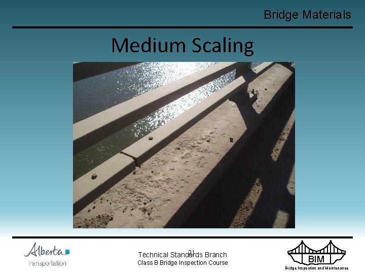 Bridge Materials Medium Scaling 21 Branch Technical Standards Class B Bridge Inspection Course BIM