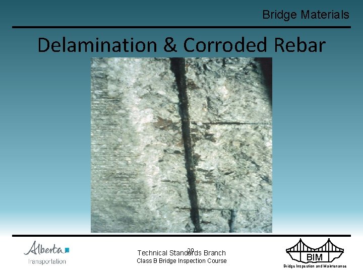 Bridge Materials Delamination & Corroded Rebar 29 Branch Technical Standards Class B Bridge Inspection