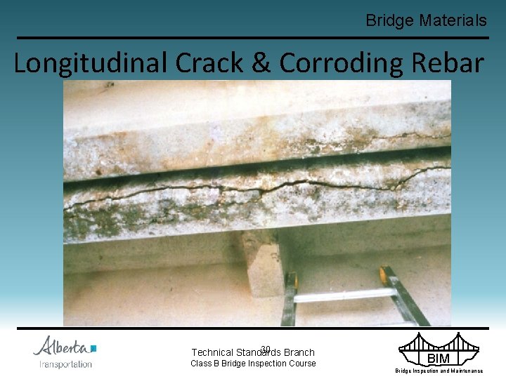 Bridge Materials Longitudinal Crack & Corroding Rebar 30 Branch Technical Standards Class B Bridge
