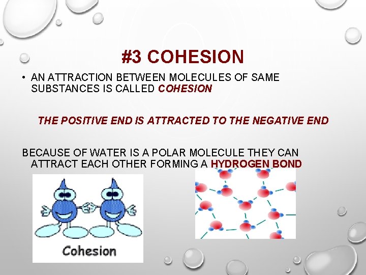 #3 COHESION • AN ATTRACTION BETWEEN MOLECULES OF SAME SUBSTANCES IS CALLED COHESION THE