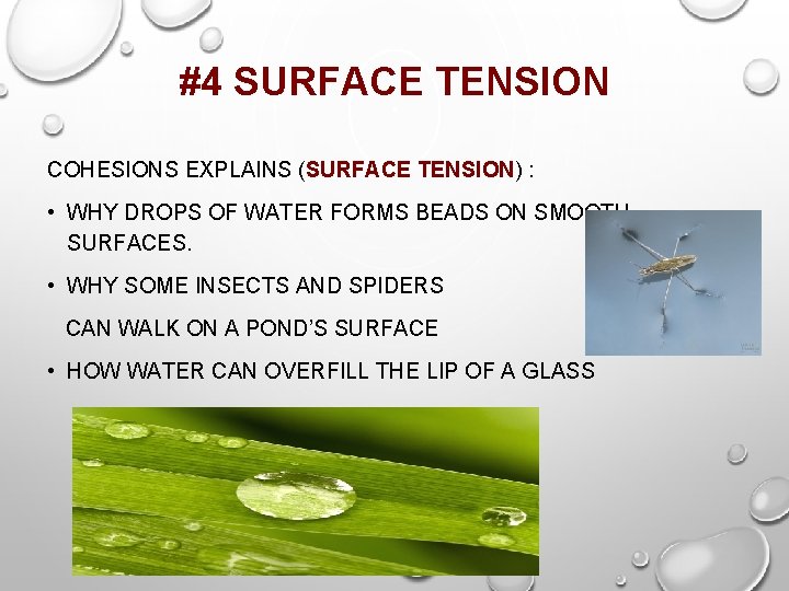 #4 SURFACE TENSION COHESIONS EXPLAINS (SURFACE TENSION) : • WHY DROPS OF WATER FORMS