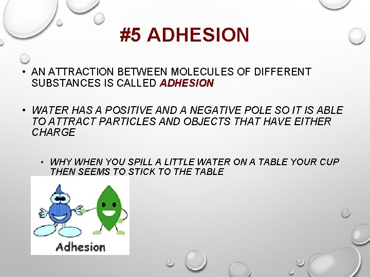 #5 ADHESION • AN ATTRACTION BETWEEN MOLECULES OF DIFFERENT SUBSTANCES IS CALLED ADHESION •