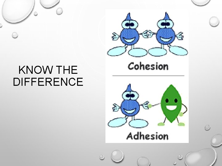 KNOW THE DIFFERENCE 