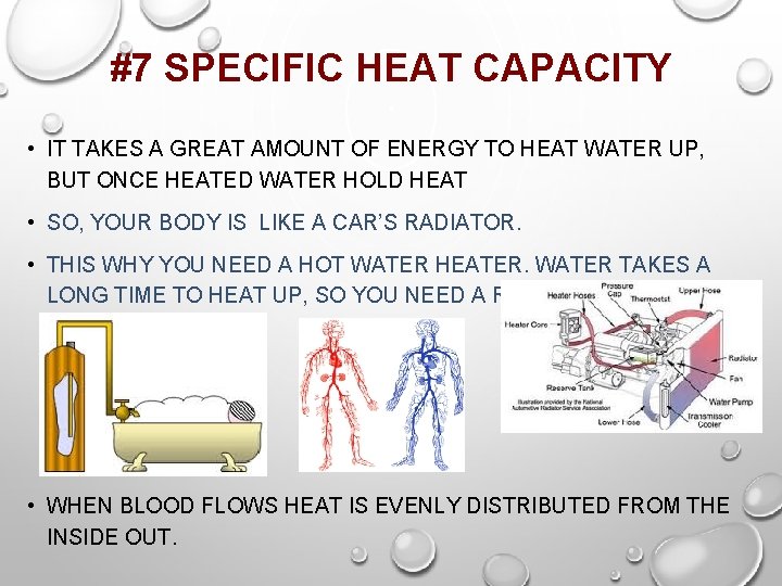 #7 SPECIFIC HEAT CAPACITY • IT TAKES A GREAT AMOUNT OF ENERGY TO HEAT
