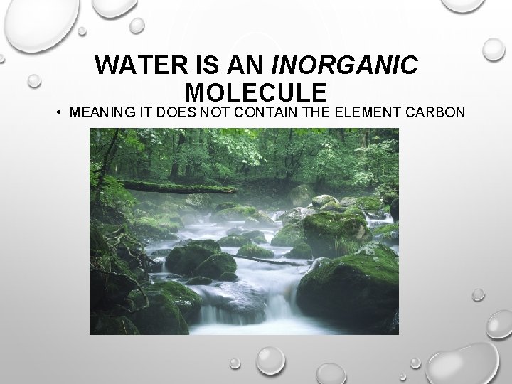 WATER IS AN INORGANIC MOLECULE • MEANING IT DOES NOT CONTAIN THE ELEMENT CARBON