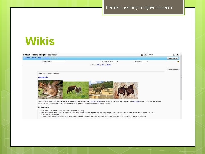 Blended Learning in Higher Education Wikis 