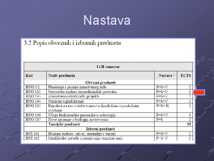 Nastava 