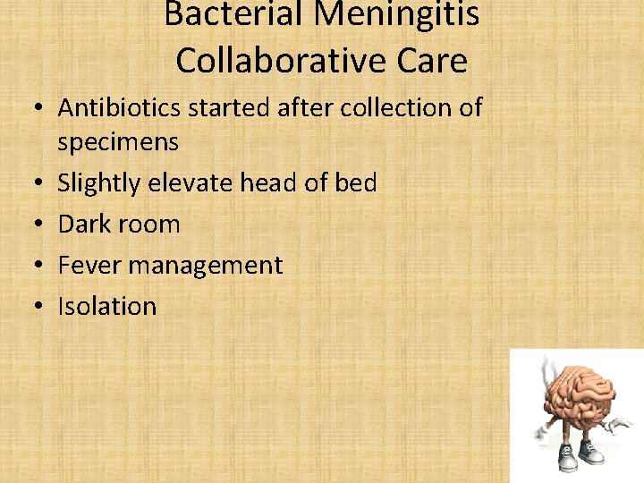 Bacterial Meningitis Collaborative Care • Antibiotics started after collection of specimens • Slightly elevate