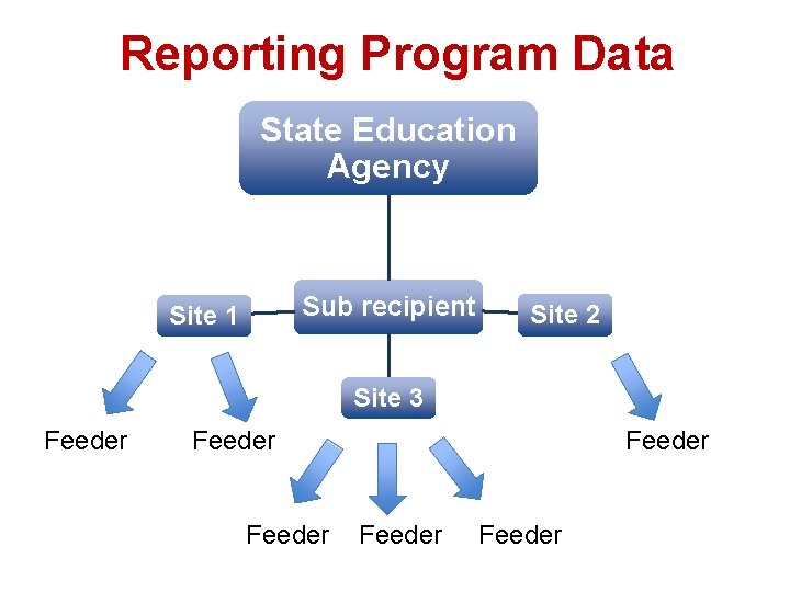Reporting Program Data State Education Agency Sub recipient Site 1 Site 2 Site 3