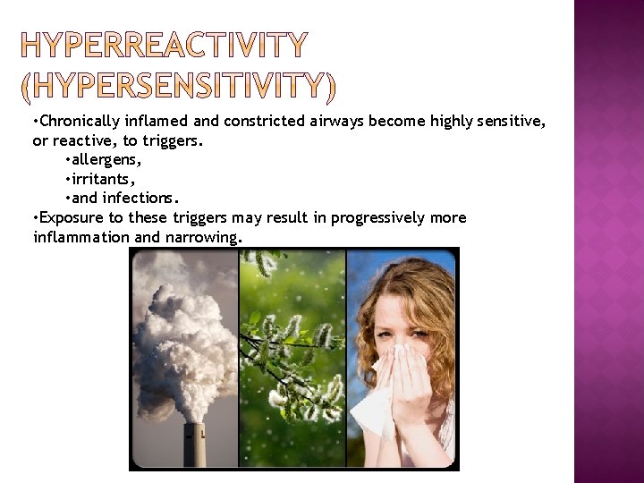 • Chronically inflamed and constricted airways become highly sensitive, or reactive, to triggers.