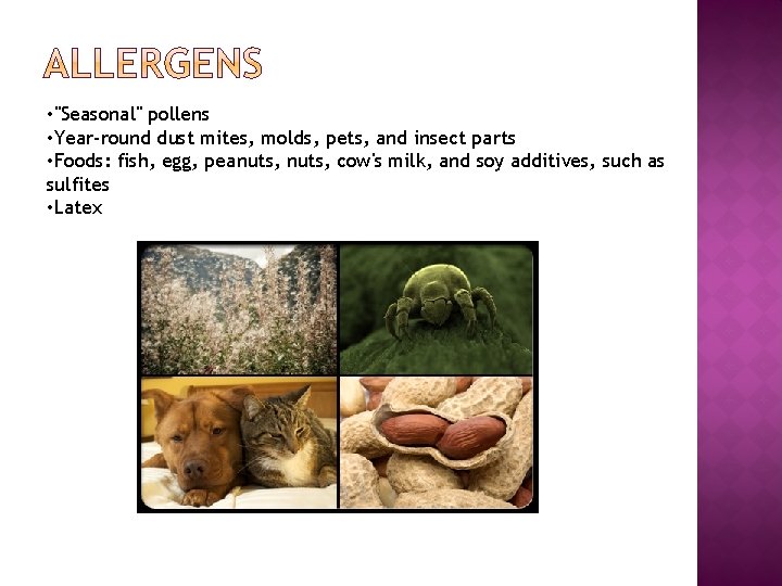  • "Seasonal" pollens • Year-round dust mites, molds, pets, and insect parts •