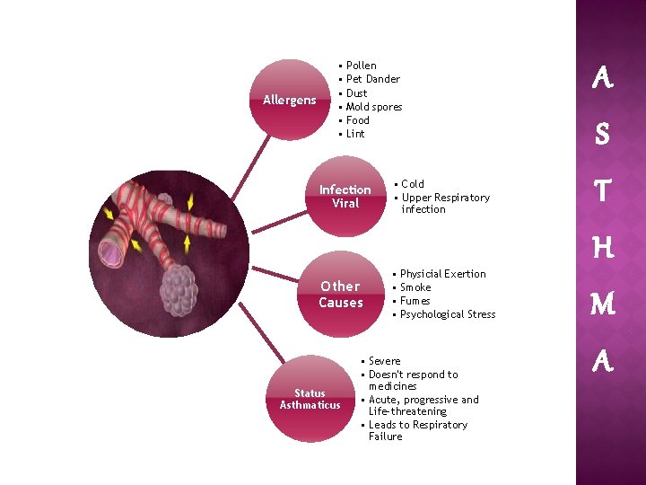 Allergens • Pollen • Pet Dander • Dust • Mold spores • Food •