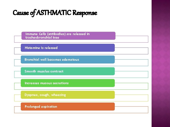 Cause of ASTHMATIC Response Immune Cells (antibodies) are released in tracheobronchial tree Histamine is