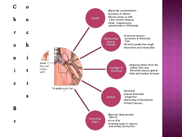 C o h n r c o h n i i t c i