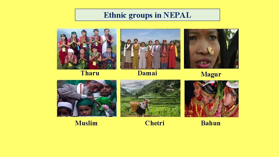 Ethnic groups in NEPAL Tharu Muslim Damai Chetri Magur Bahun 