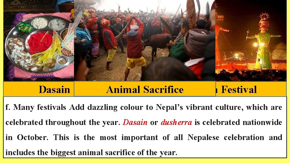 Dasain Festival. Animal Sacrifice Dusherra Festival f. Many festivals Add dazzling colour to Nepal’s