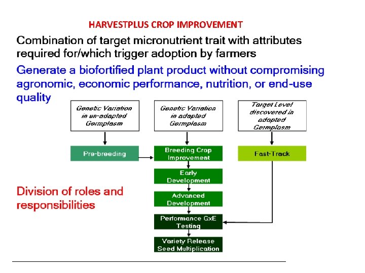 HARVESTPLUS CROP IMPROVEMENT 
