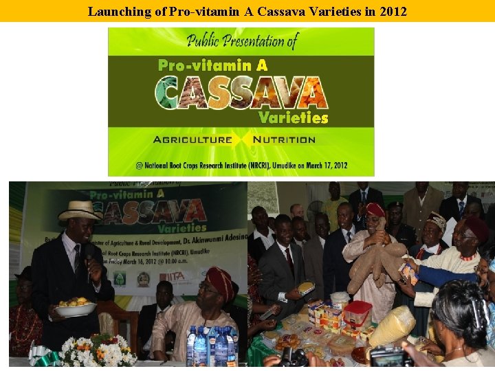 Launching of Pro-vitamin A Cassava Varieties in 2012 
