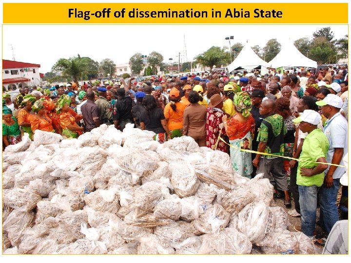 Flag-off of dissemination in Abia State 