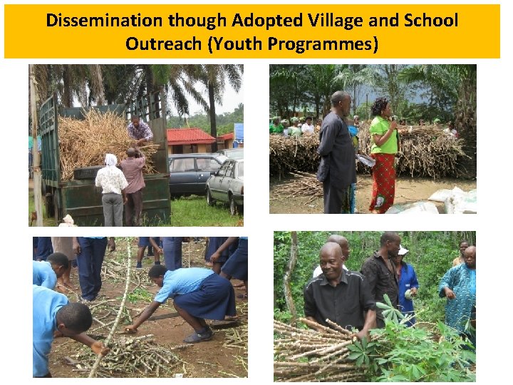 Dissemination though Adopted Village and School Outreach (Youth Programmes) 