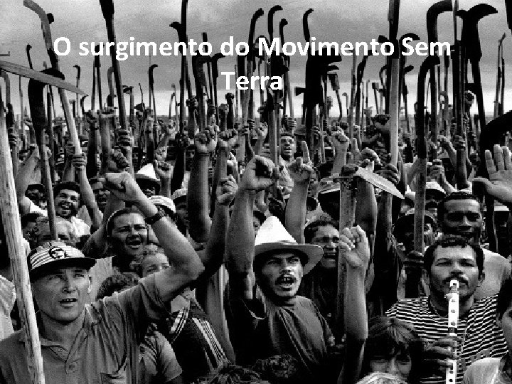 O surgimento do Movimento Sem Terra 